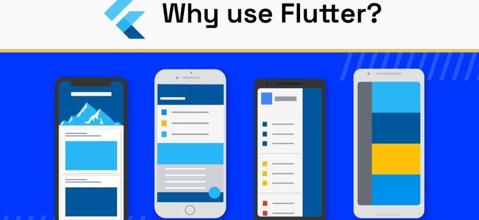 Why Use Flutter?